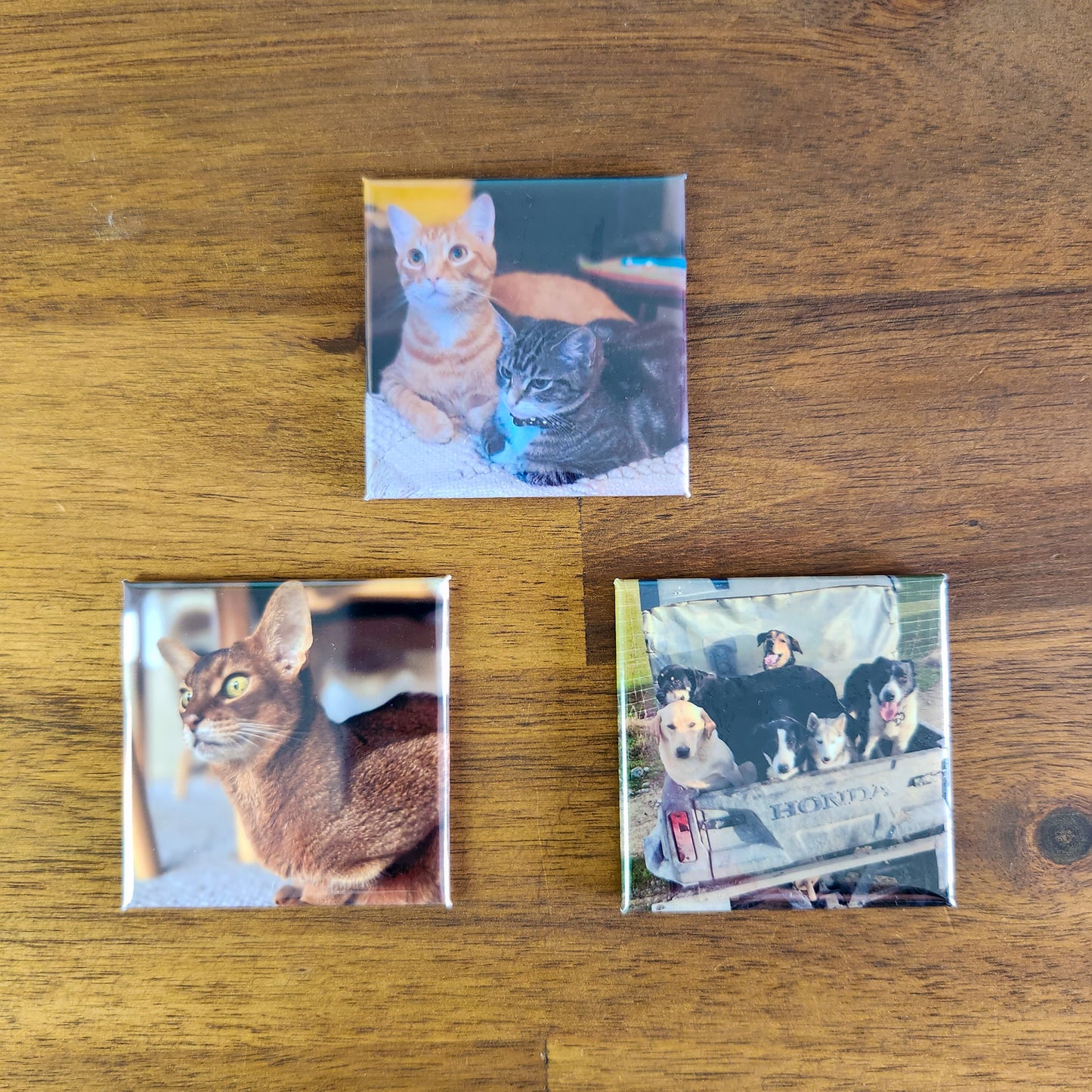 photo magnets